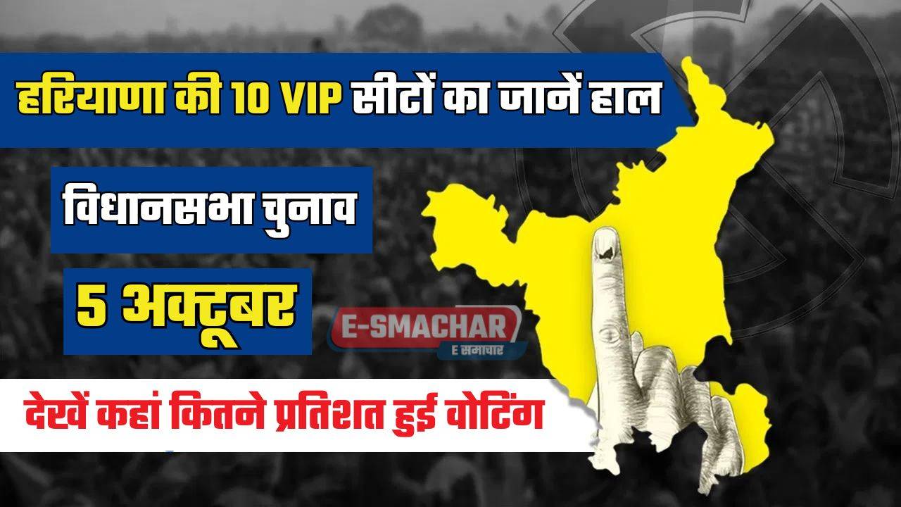 Haryana : हरियाणा की 10 VIP सीटों का जानें हाल, देखें कहां कितने प्रतिशत हुई वोटिंग