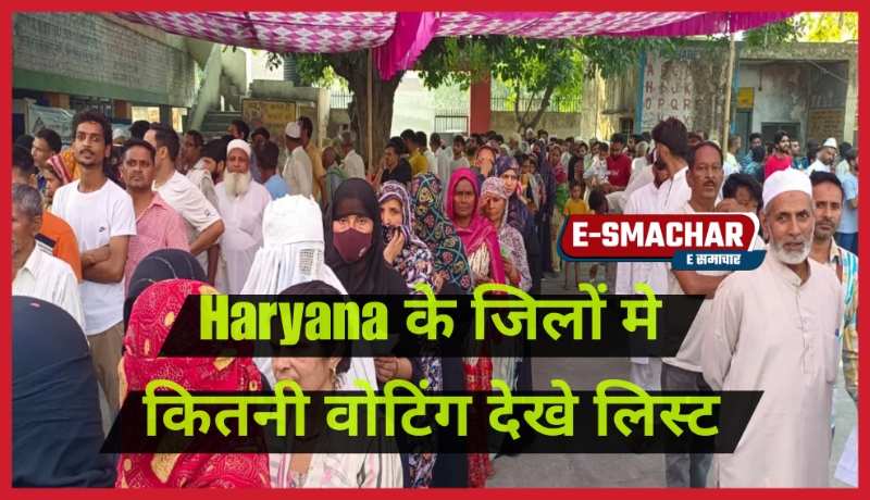 Haryana News: हरियाणा में इन जिलों में हुई इतनी वोटिंग