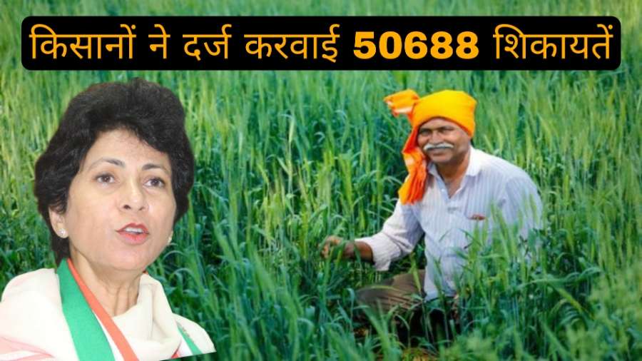 Kisan Portal: किसानों के लिए जी का जंजाल बना मेरी फसल मेरा ब्यौरा पोर्टल: कुमारी सैलजा