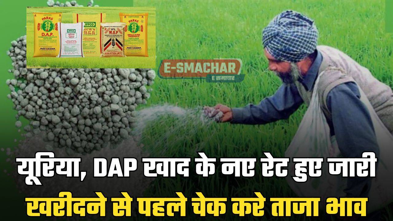 Fertilizer Rate Today : यूरिया, DAP खाद के नए रेट हुए जारी, खरीदने से पहले चेक करे ताजा भाव