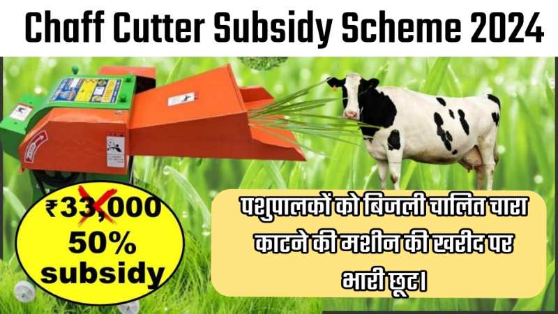 Chaff Cutter Subsidy Scheme 2024: हरा चारा काटने की मशीन पर सरकार दे रही बड़ी सब्सिडी, यहां करें आवेदन